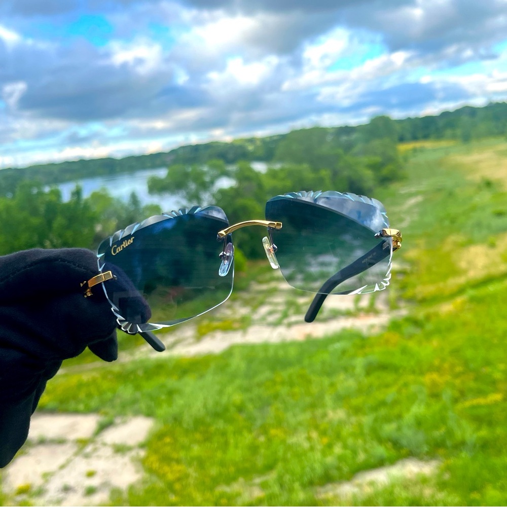 Cartier Blur Sunglases